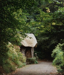 woodland cottage